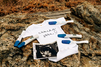DiBenedetto | Pregnancy Announcement