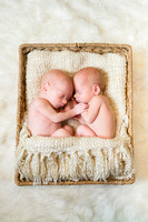 Harlan & Millie: Newborn Twins