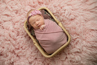 Ida | Newborn